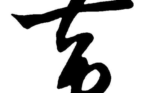 风药草功效网 - 风药草图,风药中药别名